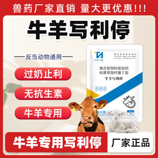 ţ��a��ͣ�F��ֹ��ֹ�aș���i��ţ������ϡș���aș�^��ֹ������