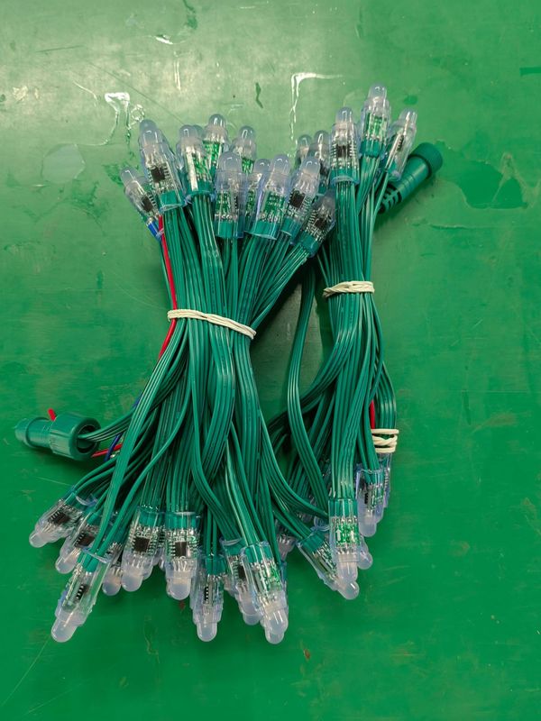 カスタム12mm注入防水LEDフルカラー露出ランプ5v 12v穿孔画素ランプクリスマス装飾屋外点灯|undefined