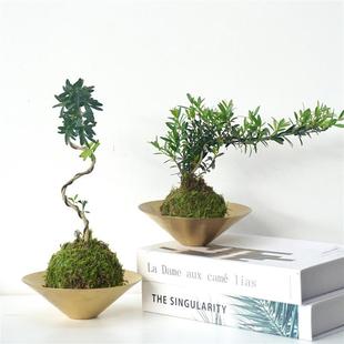 �S��̦�\��|���;Gֲˮ����B�҃ȃ����՚����B��ֲ��՚����