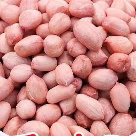 [Большая снижение цены в 2.5kg году] Свежеочищенный новый арахис, новое поступление, свежие большие капсулы, белый песочный арахис, прессованный маслом, упаковка 10 г.