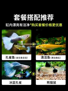 �^�p�~�坍��ˮ��ȸ�~���Ꭷ���R�������������ȸ�^�p����̦���S