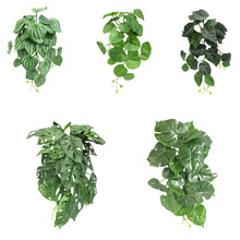 �߷���Gֲ��������~�����~�����~�R��������~���~�쾰�b�ֲ��