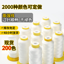 �F؛��ɫ�ߏ���]�������p�x�� Ƥ��ɳ�l����ߏ��p�x�����l