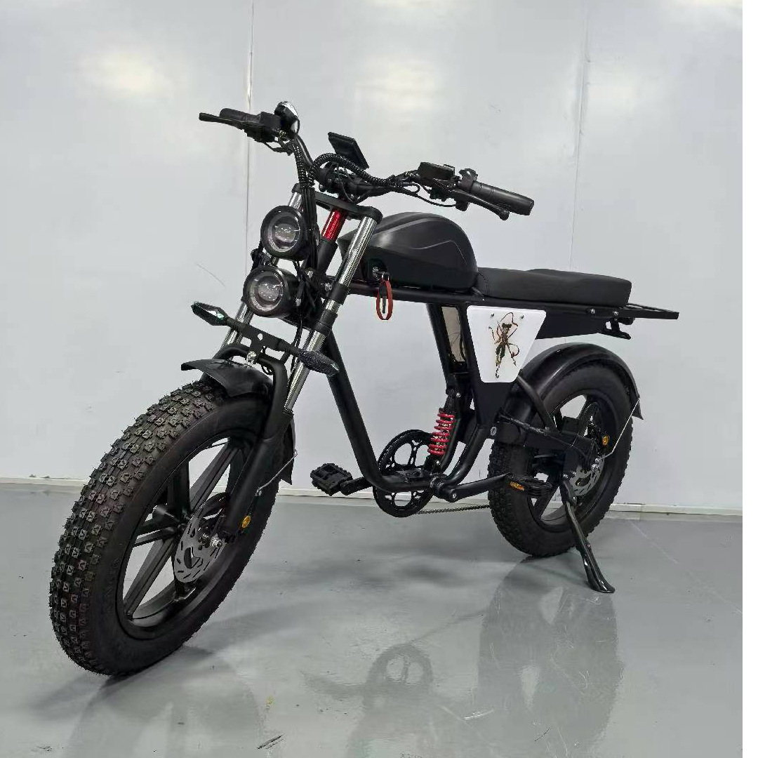 20inch Off-Road Variable Speed Electric Bicycle Adult Electric Vehicle Mountain Motorcycle Battery Vehicle Off-Road Electric Bicycle