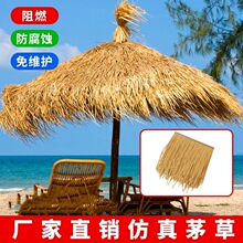 ����é������b����쵾������ë�������r�Ҙ��L�ț�ͤ�e��é����