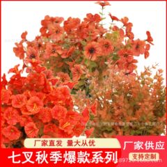国境を越えた秋のバイオレット朝顔ホームガーデンホテル装飾模擬緑植物大価格と優れた品質