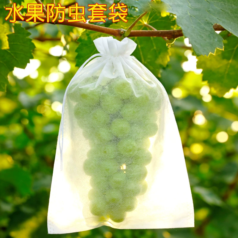 Спотовая сумка для винограда манго