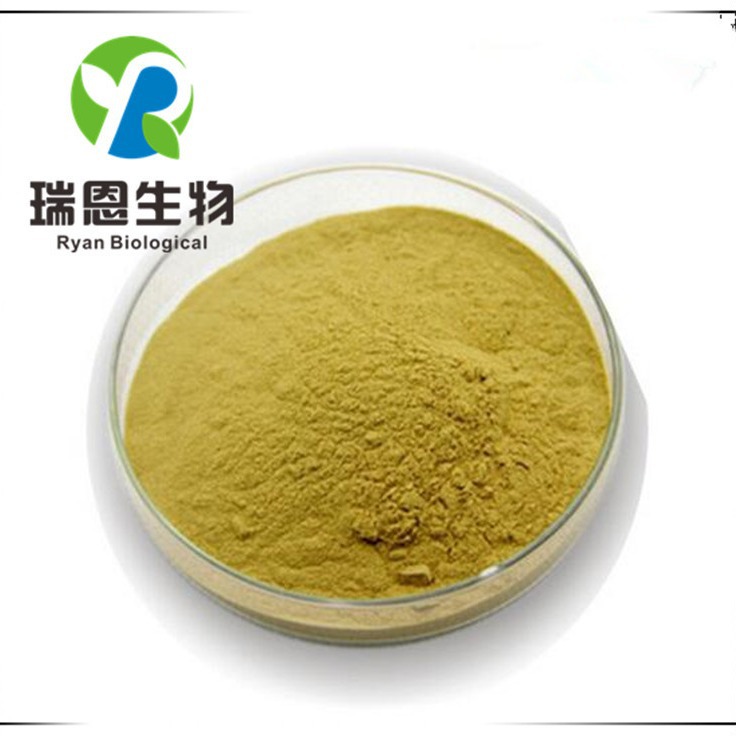 白花蛇舌草提取物比例10:1白花蛇舌草粉全草提取欢迎采购