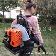 背负式吹风机 路面清理清理马路灰尘除尘机