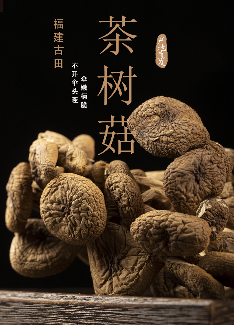 2023不开伞茶树菇_01