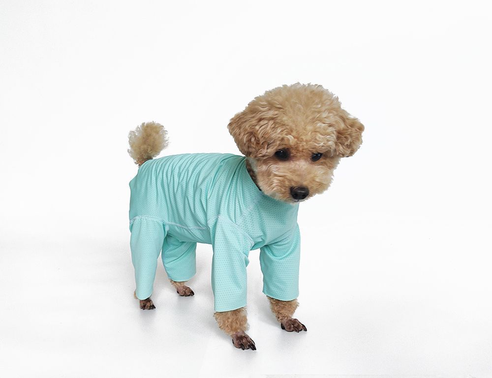 Svalkande hundklänning för bichon solskydd och insektskydd_voghion.com