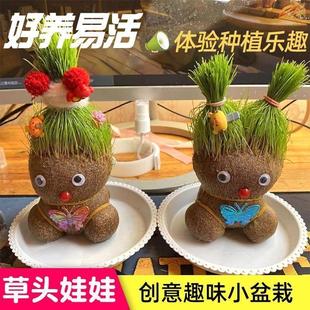 Creative Small Potted Desktop Cute Plant Fun Long Grass Doll Office Easy to Care for Hydroponic Green Plant