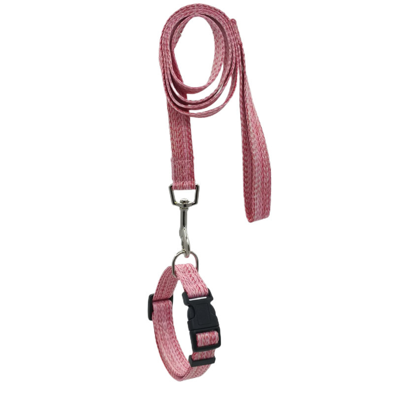 Perro gato Correa perro cadena perro caminar gato Correa pequeño y mediano tamaño cuerda cachorro gato cuerda Teddy suministros para mascotas