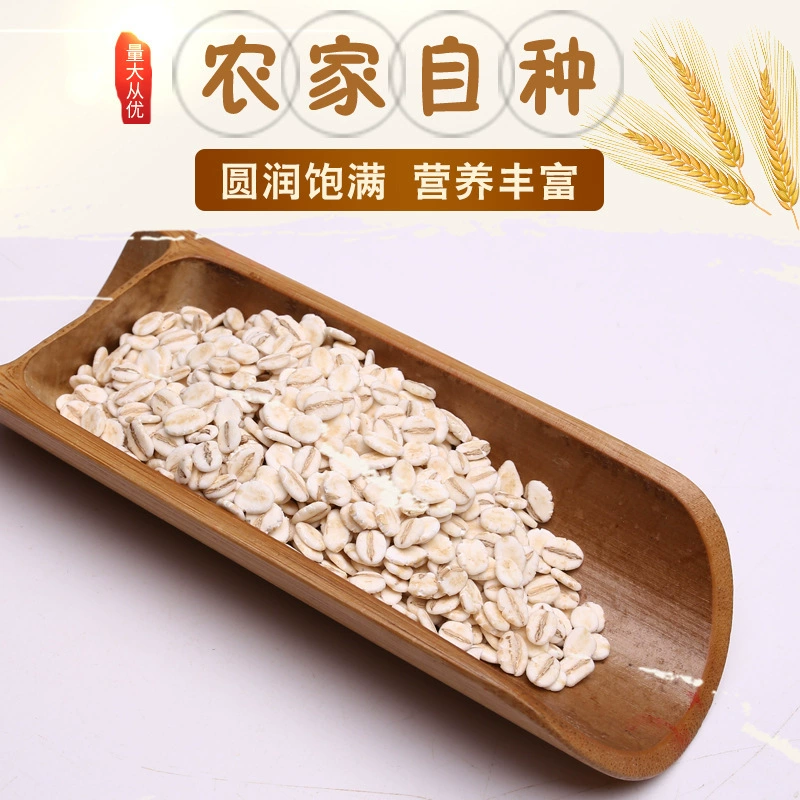 Масса производства оптовых зерен овсяной овсяной овсяной овсяной овсяной каши для низкотемпературной выпечки