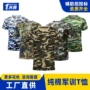 夏季定制短袖运动t恤