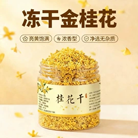 代用/养生茶;花果茶;其他茶叶