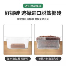 �I�B���B���̨�N��Ó�}�NֲҬ��ͨ��������Ҭ����}�؃rҮ�u