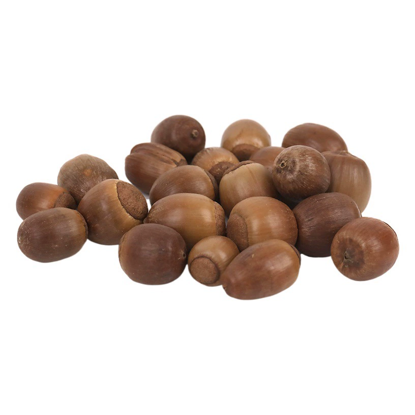 Натуральный желудь оболочки сушеных фруктов оболочки Ландшафтные украшения съемки реквизит оконные украшения Рождественские украшения кулон