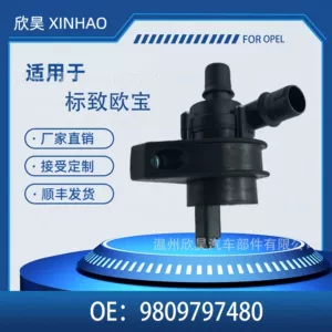Auxiliary Water Pump Suitable for Citroen Peugeot Opel 9809797480 9818015580 6466Kp