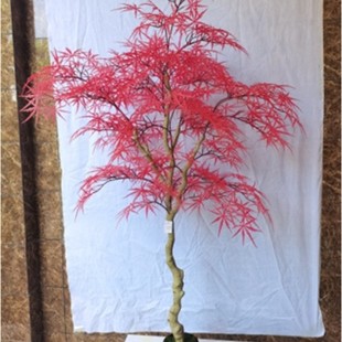 ����t����G�������Ծ������~�Lü�~���R����轻���͏d�����辰