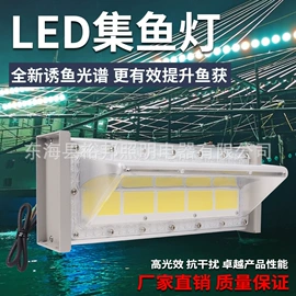 LED集鱼灯;金卤灯;镇流器