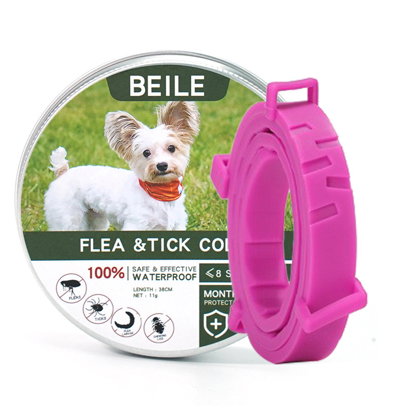 새로운 녹색 짧은 핑크색 칼라