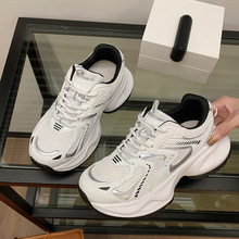 Wt\ЬŮ2024¿mٴ͸WСЬe\Ь