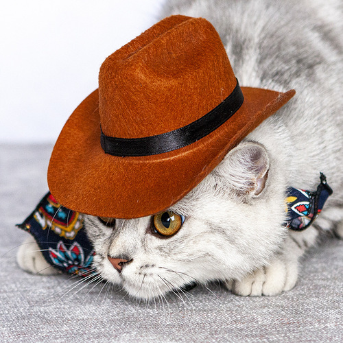 Pet Cowboy Hat Costume Amazon Pet Accessory Pet Cat Western Cowboy Hat Straw Hat