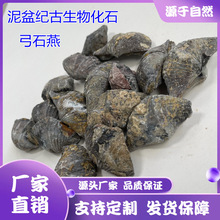 ��Ȼ�����ﻯʯ���ҹ�ʯ�� ���Ž̌W������ﻯʯ�˱�ʯ�໯ʯԭ