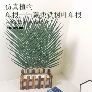 �羳����Gֲ�����ؙ��~��Ƭ�F���~���ؙ��Ꭷ�Gֲާ���ֲ���b