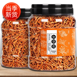 һ�����l�x�ݻ���؛���lС���b���rӼ�x���خa�������^���x������