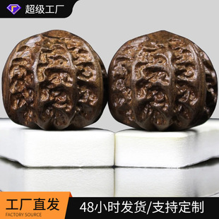 ����ľ���ĺ��ҽ�������Ħ�������ֱP���ְѼ�����������������