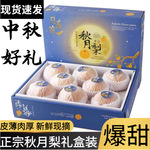 广州江南批发直发【顺丰】莱阳秋月梨新鲜水果中秋节送礼果王特级