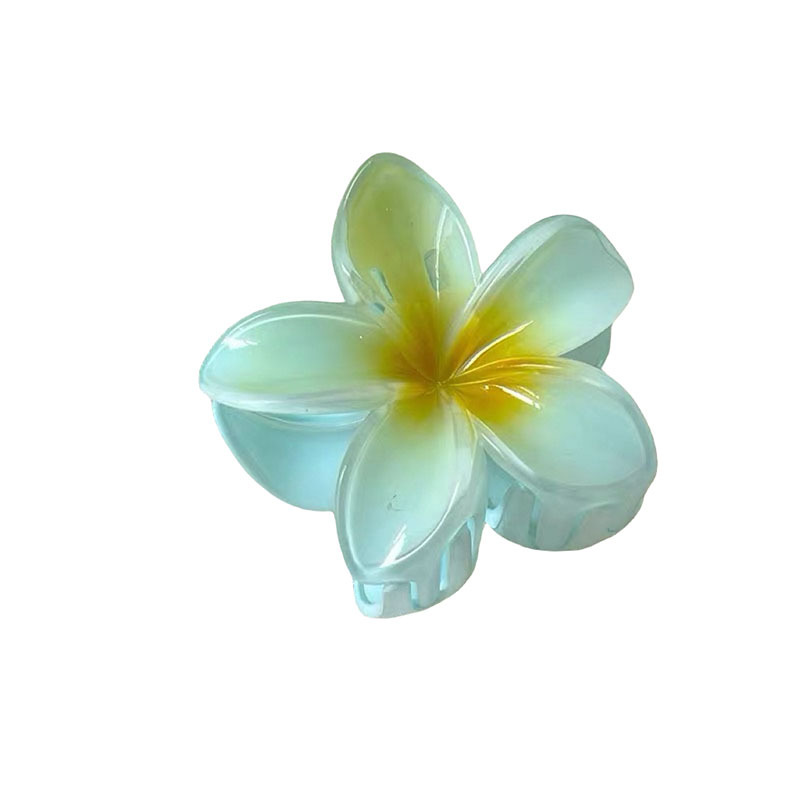 Fermaglio a forma di artiglio di plumeria, di tendenza tra Europa e America, per donna, colorato e versatile, ideale per la coda di cavallo alta._voghion.com