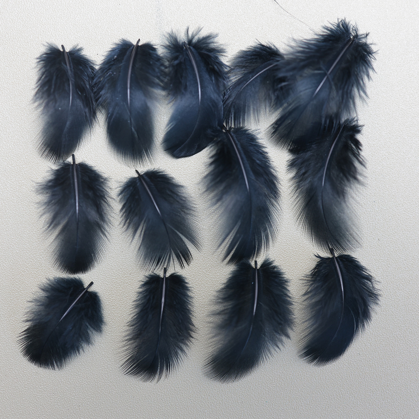 Plumas negras al por mayor DIY accesorios de decoración de ropa accesorios escenas de diseño de fábrica de plumas tienda directa
