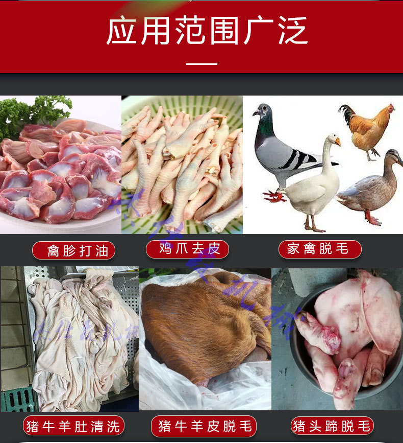 槽头肉清洗机
