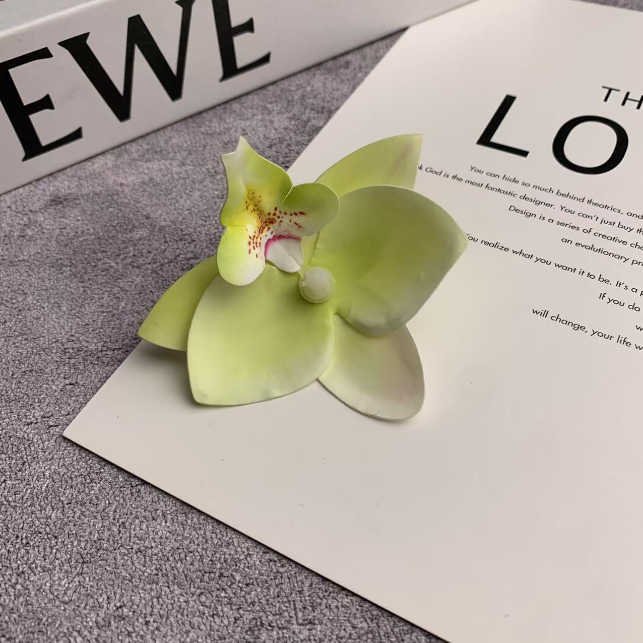 미니 호접란 꽃잎 녹색 2