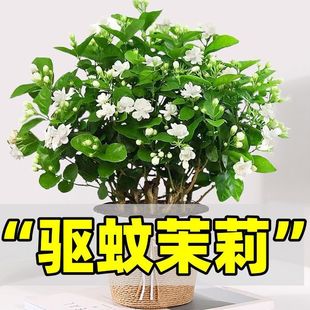 ���������ذ��_�������ļ����B�҃��̨ͥԺ��÷��û��ܾGֲ�S