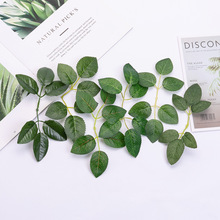 ��������zӡõ���~ �z�W��õ�廨����~�����~�� õ�����~���~��