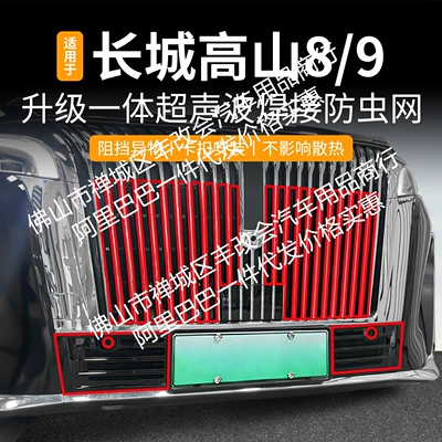 Suitable for Great Wall Alpine 8/9 One-Piece Welded Car Insect-Proof Net Front Grille Special Modified Decorative Strip Accessories