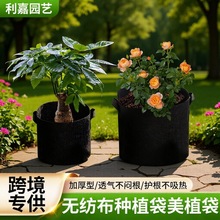 亚马逊美植袋加仑袋种植袋黑色毛毡布植物袋蔬菜生长袋工程育苗袋