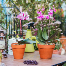 �����m��֧���m�A��֧�ΗUֲ�����ٻ��̶ܹ��F�z֧�܈@ˇ����