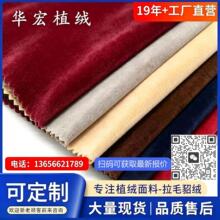 厂家直供  多种颜色可选量大从优 19年专业貂绒面料 金貂绒植绒貂