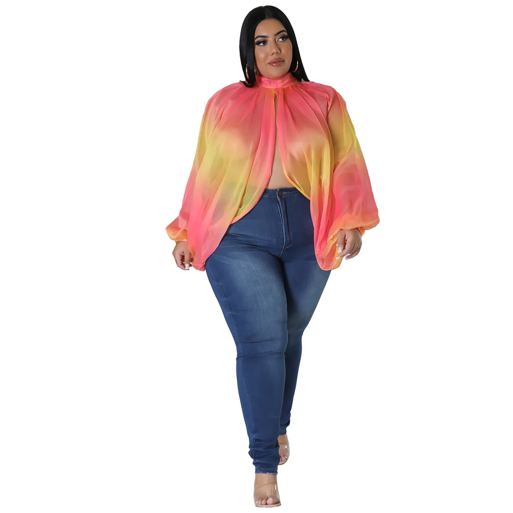 252g Weight Long Sleeve Sleeve Length Regular Sleeve Sleeve Type Spandex, Polyester, Chiffon Fabric Type Long Top Length Blouse Tops Type Daily, Street Occasion Round Neck Neckline Regular Fit Fit Type Color Block Pattern Spring&Summer Season Streetwear Style Blouse Long Sleeve Plus Size Tops Streetwear Color Block 54