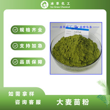 大麦苗汁粉 1kg起大麦苗粉 大麦苗提取物麦绿素 西安冰草现货