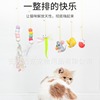 Swings, toy, cat, clips included, caterpillar