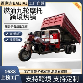 正三轮摩托车;电动三轮车;沙滩车