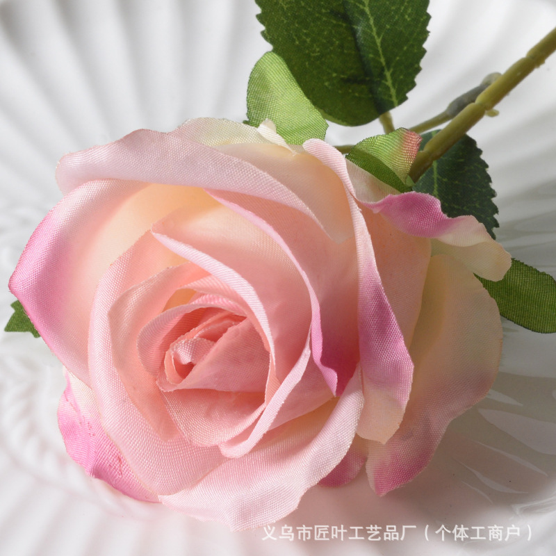 리틀 파리 로즈 레드