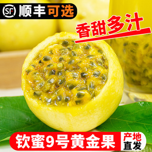 ������ҕ�l̖���١�����2.5/4.5��V���J��9̖�S���������rˮ��