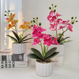 ����8�^�����m�����҃ȔzӰ�b��߻�Y�b�С���Է�������m��